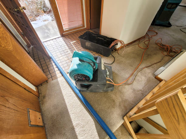 Best Local water damage restoration  in Waverly, IA