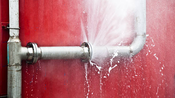 Best Water damage restoration services  in Waverly, IA